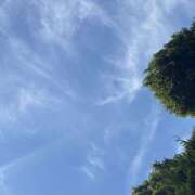 ヒメ日記 2026/08/28 18:56 投稿 ちよこ 豊満熟女