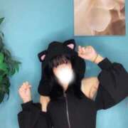 ゆき ねこちゃんになった🐈‍⬛🖤 ホワイトベル