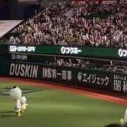 ヒメ日記 2026/09/27 17:14 投稿 はるか 天空のマット