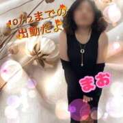 ヒメ日記 2026/10/01 15:44 投稿 まお 丸妻 池袋店
