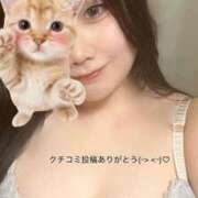 ヒメ日記 2026/08/31 01:14 投稿 かなた 白いぽっちゃりさん
