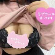 ヒメ日記 2026/09/11 19:21 投稿 あさ 宮城仙南ちゃんこ