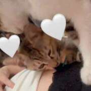ヒメ日記 2026/09/04 08:31 投稿 れいな 新感覚恋活ソープもしも彼女が○○だったら・・・福岡中州本店