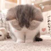 ヒメ日記 2026/09/06 15:21 投稿 れいな 新感覚恋活ソープもしも彼女が○○だったら・・・福岡中州本店
