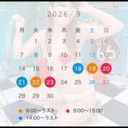 ヒメ日記 2026/08/29 15:03 投稿 ゆあん 横浜ハッピーマットパラダイス