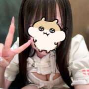 ヒメ日記 2026/10/17 20:00 投稿 かのん Pleasure（プレジャー新橋）