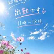 ヒメ日記 2026/10/11 10:35 投稿 さき 熟女家 豊中蛍池店