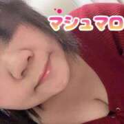 ヒメ日記 2026/10/11 17:06 投稿 ほたる 新潟市鳥屋野潟ちゃんこ
