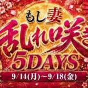 ヒメ日記 2026/09/17 08:50 投稿 ゆめの もしも素敵な妻が指輪をはずしたら・・・