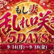 ヒメ日記 2026/09/18 08:10 投稿 ゆめの もしも素敵な妻が指輪をはずしたら・・・