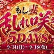 ヒメ日記 2026/09/16 12:46 投稿 ゆめの もしも清楚な20、30代の妻とキスイキできたら横浜店
