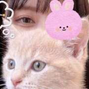 ヒメ日記 2026/09/09 09:00 投稿 あんず abc＋