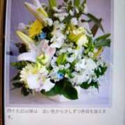 ヒメ日記 2026/09/09 16:26 投稿 ふじこ 熟女総本店 日本橋ミナミエリア店
