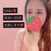 ヒメ日記 2026/09/15 16:28 投稿 いちか 多恋人 新宿店