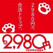 ヒメ日記 2026/09/01 18:06 投稿 こはる 2980円（にゃんきゅっぱ）