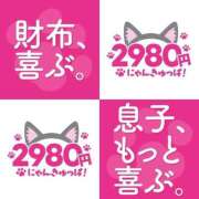 ヒメ日記 2026/09/01 20:16 投稿 こはる 2980円（にゃんきゅっぱ）