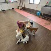 ヒメ日記 2026/09/03 18:02 投稿 せいら ヒルズスパ　梅田＋