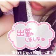 ヒメ日記 2026/09/05 17:04 投稿 すいな ぷるるん小町 京橋店