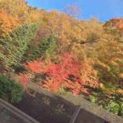 ヒメ日記 2026/10/19 00:02 投稿 小鳥遊　るい 雫(しずく)