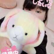 ヒメ日記 2026/09/19 13:28 投稿 ♡めい♡ ぽっちゃりバニー