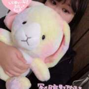 ヒメ日記 2026/09/23 19:16 投稿 ♡めい♡ ぽっちゃりバニー