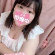 ヒメ日記 2026/09/25 15:01 投稿 ♡めい♡ ぽっちゃりバニー