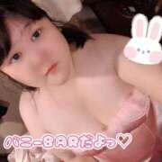 ヒメ日記 2026/09/26 12:37 投稿 ♡めい♡ ぽっちゃりバニー