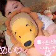 ♡めい♡ こんばんはっ！イチャイチャ？ ぽっちゃりバニー