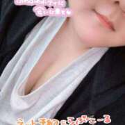 ヒメ日記 2026/10/13 20:42 投稿 ♡めい♡ ぽっちゃりバニー