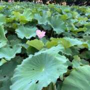 ヒメ日記 2026/09/01 22:13 投稿 めぐ 見学娘