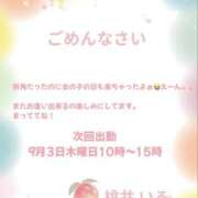 ヒメ日記 2026/09/01 01:02 投稿 桃井いる(ももいいる) 五十路マダムエクスプレス厚木店(カサブランカグループ)