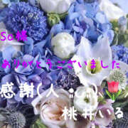 ヒメ日記 2026/09/11 17:16 投稿 桃井いる(ももいいる) 五十路マダムエクスプレス厚木店(カサブランカグループ)