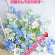 ヒメ日記 2026/09/12 11:30 投稿 桃井いる(ももいいる) 五十路マダムエクスプレス厚木店(カサブランカグループ)