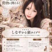 ヒメ日記 2026/10/11 12:04 投稿 ゆりか/無邪気な色香 回春性感メンズエステ猫の手 岐阜／岐南