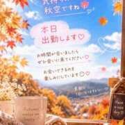 ヒメ日記 2026/10/09 10:06 投稿 ななこ 丸妻 横浜本店