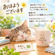 ヒメ日記 2026/10/13 07:05 投稿 ななこ 丸妻 横浜本店