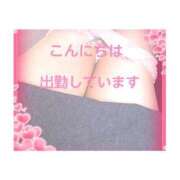 ヒメ日記 2026/09/30 11:48 投稿 みち 熟女家 十三店