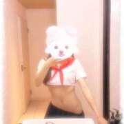 ヒメ日記 2026/09/13 21:42 投稿 絆【きずな】 ROSE（金沢）