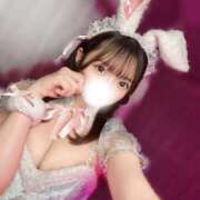 ゆか 今日VIVANTだ‼️ 姫コレクション
