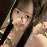 ヒメ日記 2026/10/01 18:33 投稿 夢乃　りず プルプル倶楽部 札幌すすきの店