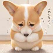ヒメ日記 2026/09/04 12:05 投稿 りおな 茨城水戸ちゃんこ
