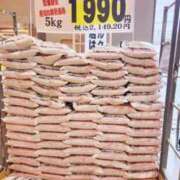 ヒメ日記 2026/09/19 13:05 投稿 あやの 熟女の風俗最終章 新小岩店