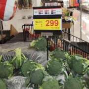 ヒメ日記 2026/09/26 18:08 投稿 あやの 熟女の風俗最終章 新小岩店