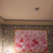 ヒメ日記 2026/09/22 17:45 投稿 ふうか 熟女の風俗最終章 新小岩店