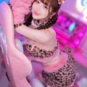 ヒメ日記 2026/09/25 17:23 投稿 りお TOKYO BUNNYS CLUB