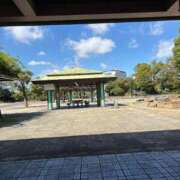 ヒメ日記 2026/09/24 11:33 投稿 とわ 丸妻 横浜本店