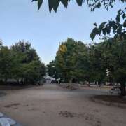 ヒメ日記 2026/09/02 05:54 投稿 心音 新妻（Niiduma）