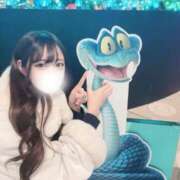 ヒメ日記 2026/09/26 09:47 投稿 ★くるみ PUZZLE（パズル）