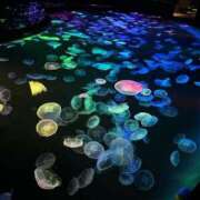 ヒメ日記 2026/09/20 11:27 投稿 ★みさき PUZZLE（パズル）