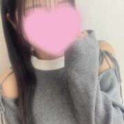 皇姫せいは ご主人様のためになら…♡ 渋谷さーくる
